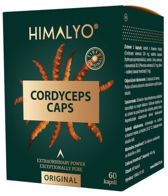 Cordyceps TOP 5 srovnání [recenze]: Jak mají silné účinky?