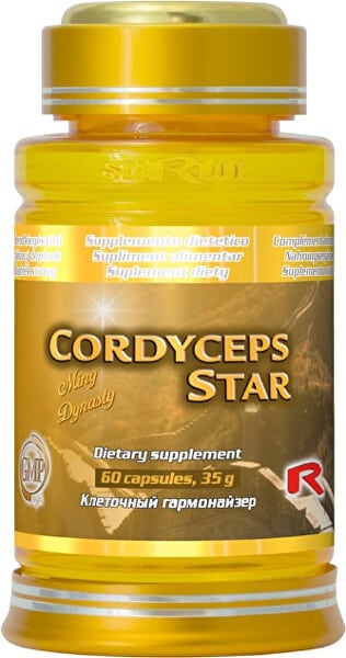 Cordyceps TOP 5 srovnání [recenze]: Jak mají silné účinky?